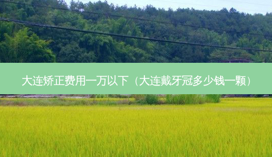 大连矫正费用一万以下(大连戴牙冠多少钱一颗)-第1张图片-南山整形网 大连矫正费用一万以下(大连戴牙冠多少钱一颗)-第1张图片-南山整形网
