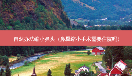 自然办法缩小鼻头(鼻翼缩小手术需要住院吗)-第1张图片-南山整形网 自然办法缩小鼻头(鼻翼缩小手术需要住院吗)-第1张图片-南山整形网