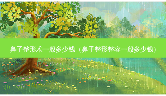 鼻子整形术一般多少钱(鼻子整形整容一般多少钱)-第1张图片-南山整形网 鼻子整形术一般多少钱(鼻子整形整容一般多少钱)-第1张图片-南山整形网