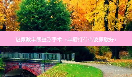 玻尿酸丰唇整形手术(丰唇打什么玻尿酸好)-第1张图片-南山整形网 玻尿酸丰唇整形手术(丰唇打什么玻尿酸好)-第1张图片-南山整形网