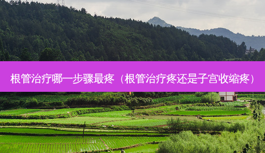根管治疗哪一步骤最疼(根管治疗疼还是子宫收缩疼)-第1张图片-南山整形网 根管治疗哪一步骤最疼(根管治疗疼还是子宫收缩疼)-第1张图片-南山整形网