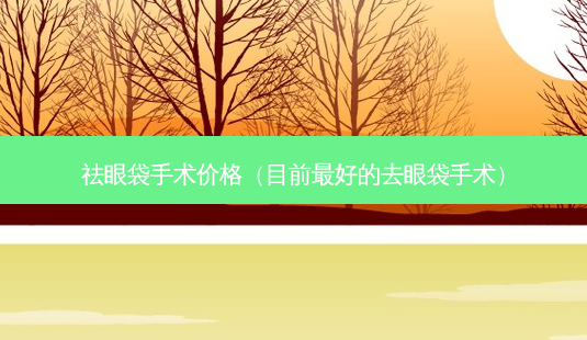 祛眼袋手术价格(目前 *** 的去眼袋手术)-第1张图片-南山整形网 祛眼袋手术价格(目前 *** 的去眼袋手术)-第1张图片-南山整形网