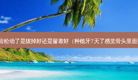牙齿松动了是拔掉好还是留着好(种植牙7天了感觉骨头里面疼)-第1张图片-南山整形网 牙齿松动了是拔掉好还是留着好(种植牙7天了感觉骨头里面疼)-第1张图片-南山整形网