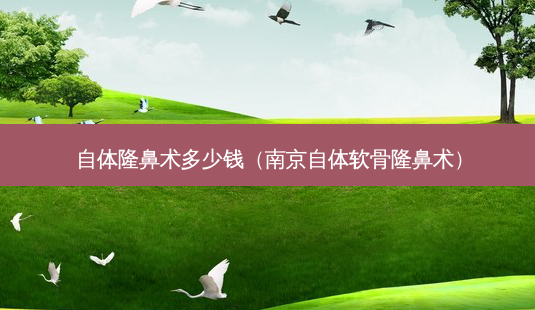 自体隆鼻术多少钱(南京自体软骨隆鼻术)-第1张图片-南山整形网 自体隆鼻术多少钱(南京自体软骨隆鼻术)-第1张图片-南山整形网