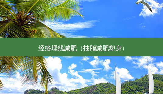 经络埋线减肥(抽脂减肥塑身)-第1张图片-南山整形网 经络埋线减肥(抽脂减肥塑身)-第1张图片-南山整形网