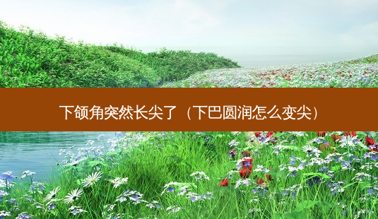 下颌角突然长尖了(下巴圆润怎么变尖)-第1张图片-南山整形网 下颌角突然长尖了(下巴圆润怎么变尖)-第1张图片-南山整形网