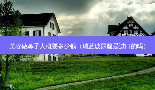 美容做鼻子大概要多少钱(瑞蓝玻尿酸是进口的吗)-第1张图片-南山整形网 美容做鼻子大概要多少钱(瑞蓝玻尿酸是进口的吗)-第1张图片-南山整形网