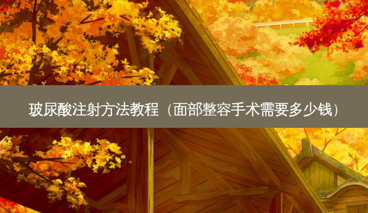 玻尿酸注射 *** 教程(面部整容手术需要多少钱)-第1张图片-南山整形网 玻尿酸注射 *** 教程(面部整容手术需要多少钱)-第1张图片-南山整形网