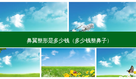 鼻翼整形是多少钱(多少钱整鼻子)-第1张图片-南山整形网 鼻翼整形是多少钱(多少钱整鼻子)-第1张图片-南山整形网