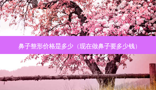 鼻子整形价格是多少(现在做鼻子要多少钱)-第1张图片-南山整形网 鼻子整形价格是多少(现在做鼻子要多少钱)-第1张图片-南山整形网