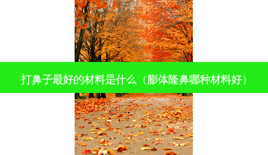 打鼻子 *** 的材料是什么(膨体隆鼻哪种材料好)-第1张图片-南山整形网 打鼻子 *** 的材料是什么(膨体隆鼻哪种材料好)-第1张图片-南山整形网