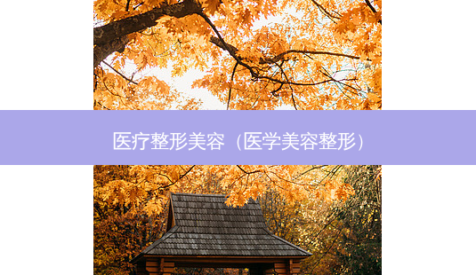 医疗整形美容(医学美容整形)-第1张图片-南山整形网 医疗整形美容(医学美容整形)-第1张图片-南山整形网