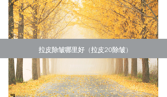 拉皮除皱哪里好(拉皮20除皱)-第1张图片-南山整形网 拉皮除皱哪里好(拉皮20除皱)-第1张图片-南山整形网
