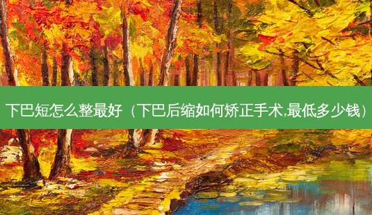 下巴短怎么整 *** (下巴后缩如何矫正手术, *** 多少钱)-第1张图片-南山整形网 下巴短怎么整 *** (下巴后缩如何矫正手术, *** 多少钱)-第1张图片-南山整形网