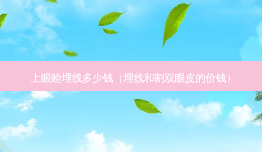 上眼睑埋线多少钱(埋线和割双眼皮的价钱)-第1张图片-南山整形网 上眼睑埋线多少钱(埋线和割双眼皮的价钱)-第1张图片-南山整形网