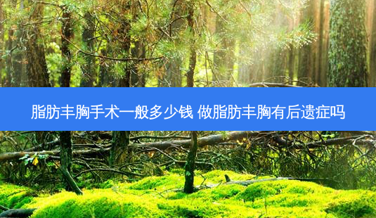 脂肪丰胸手术一般多少钱 做脂肪丰胸有后遗症吗-第1张图片-南山整形网 脂肪丰胸手术一般多少钱 做脂肪丰胸有后遗症吗-第1张图片-南山整形网