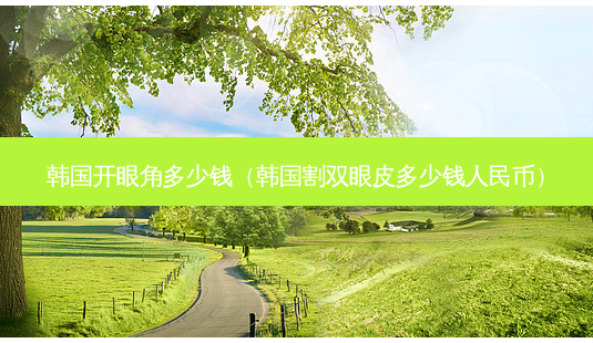 韩国开眼角多少钱(韩国割双眼皮多少钱人民币)-第1张图片-南山整形网 韩国开眼角多少钱(韩国割双眼皮多少钱人民币)-第1张图片-南山整形网