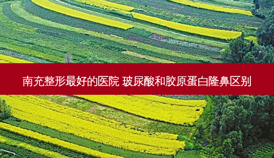 南充整形 *** 的医院 玻尿酸和胶原蛋白隆鼻区别-第1张图片-南山整形网 南充整形 *** 的医院 玻尿酸和胶原蛋白隆鼻区别-第1张图片-南山整形网