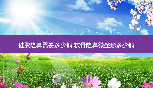 硅胶隆鼻需要多少钱 软骨隆鼻微整形多少钱-第1张图片-南山整形网 硅胶隆鼻需要多少钱 软骨隆鼻微整形多少钱-第1张图片-南山整形网
