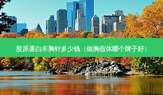 胶原蛋白丰胸针多少钱(做胸假体哪个牌子好)-第1张图片-南山整形网 胶原蛋白丰胸针多少钱(做胸假体哪个牌子好)-第1张图片-南山整形网