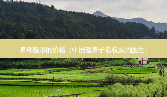 鼻部整形的价格(中国整鼻子 *** 的医生)-第1张图片-南山整形网 鼻部整形的价格(中国整鼻子 *** 的医生)-第1张图片-南山整形网