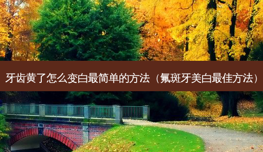 牙齿黄了怎么变白最简单的 *** (氟斑牙美白 *** *** )-第1张图片-南山整形网 牙齿黄了怎么变白最简单的 *** (氟斑牙美白 *** *** )-第1张图片-南山整形网