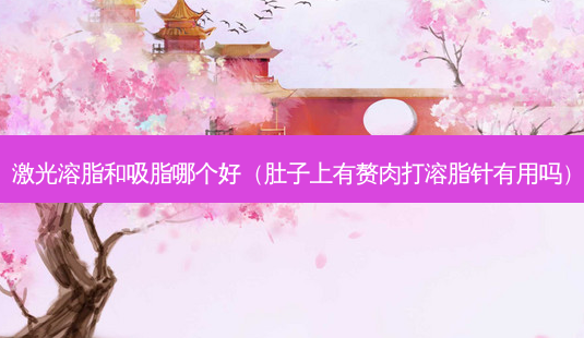 激光溶脂和吸脂哪个好(肚子上有赘肉打溶脂针有用吗)-第1张图片-南山整形网 激光溶脂和吸脂哪个好(肚子上有赘肉打溶脂针有用吗)-第1张图片-南山整形网