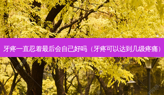牙疼一直忍着最后会自己好吗(牙疼可以达到几级疼痛)-第1张图片-南山整形网 牙疼一直忍着最后会自己好吗(牙疼可以达到几级疼痛)-第1张图片-南山整形网