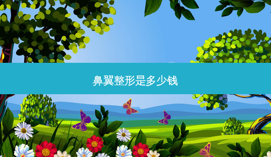 鼻翼整形是多少钱-第1张图片-南山整形网 鼻翼整形是多少钱-第1张图片-南山整形网