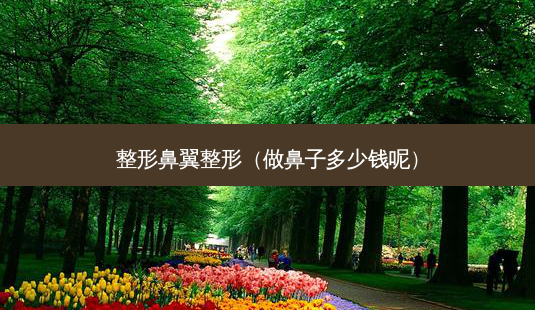 整形鼻翼整形(做鼻子多少钱呢)-第1张图片-南山整形网 整形鼻翼整形(做鼻子多少钱呢)-第1张图片-南山整形网