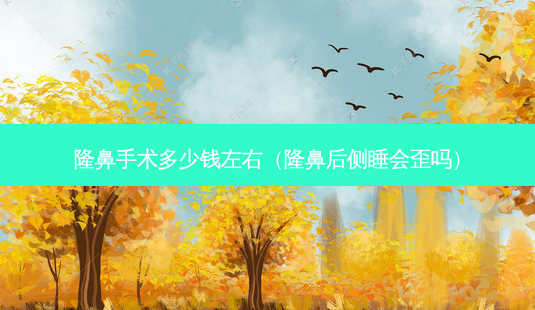 隆鼻手术多少钱左右(隆鼻后侧睡会歪吗)-第1张图片-南山整形网 隆鼻手术多少钱左右(隆鼻后侧睡会歪吗)-第1张图片-南山整形网