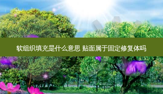 软组织填充是什么意思 贴面属于固定修复体吗-第1张图片-南山整形网 软组织填充是什么意思 贴面属于固定修复体吗-第1张图片-南山整形网