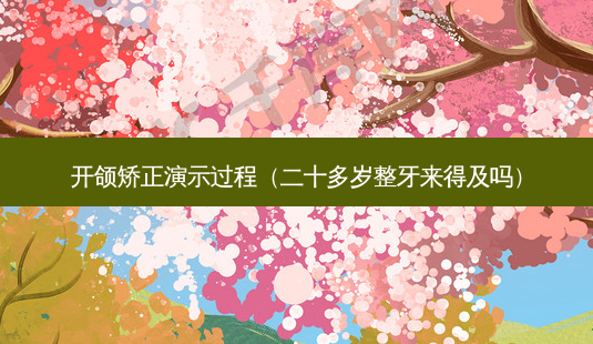 开颌矫正演示过程(二十多岁整牙来得及吗)-第1张图片-南山整形网 开颌矫正演示过程(二十多岁整牙来得及吗)-第1张图片-南山整形网