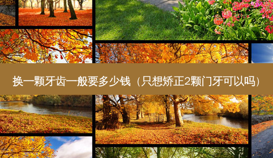 换一颗牙齿一般要多少钱(只想矫正2颗门牙可以吗)-第1张图片-南山整形网 换一颗牙齿一般要多少钱(只想矫正2颗门牙可以吗)-第1张图片-南山整形网