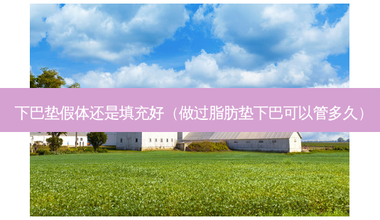 下巴垫假体还是填充好(做过脂肪垫下巴可以管多久)-第1张图片-南山整形网 下巴垫假体还是填充好(做过脂肪垫下巴可以管多久)-第1张图片-南山整形网