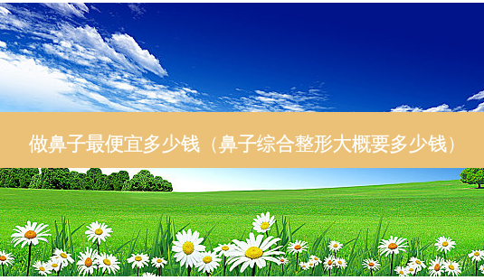 做鼻子 *** 多少钱(鼻子综合整形大概要多少钱)-第1张图片-南山整形网 做鼻子 *** 多少钱(鼻子综合整形大概要多少钱)-第1张图片-南山整形网