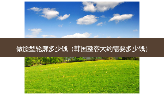 做脸型轮廓多少钱(韩国整容大约需要多少钱)-第1张图片-南山整形网 做脸型轮廓多少钱(韩国整容大约需要多少钱)-第1张图片-南山整形网