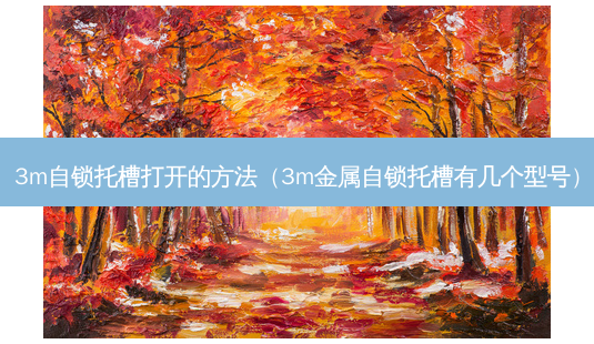 3m自锁托槽打开的 *** (3m金属自锁托槽有几个型号)-第1张图片-南山整形网 3m自锁托槽打开的 *** (3m金属自锁托槽有几个型号)-第1张图片-南山整形网