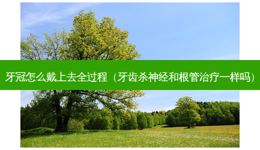 牙冠怎么戴上去全过程(牙齿杀神经和根管治疗一样吗)-第1张图片-南山整形网 牙冠怎么戴上去全过程(牙齿杀神经和根管治疗一样吗)-第1张图片-南山整形网