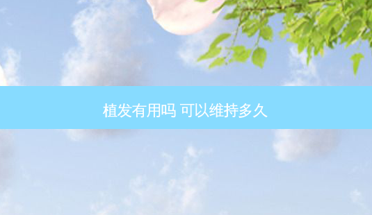 植发有用吗 可以维持多久-第1张图片-南山整形网