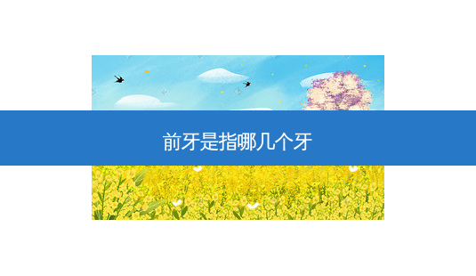 前牙是指哪几个牙-第1张图片-南山整形网 前牙是指哪几个牙-第1张图片-南山整形网
