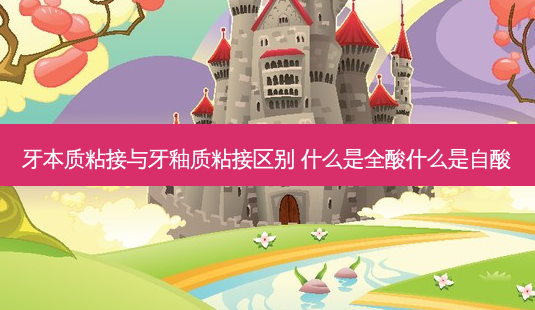 牙本质粘接与牙釉质粘接区别 什么是全酸什么是自酸-第1张图片-南山整形网 牙本质粘接与牙釉质粘接区别 什么是全酸什么是自酸-第1张图片-南山整形网