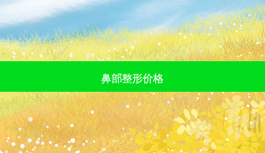 鼻部整形价格-第1张图片-南山整形网 鼻部整形价格-第1张图片-南山整形网