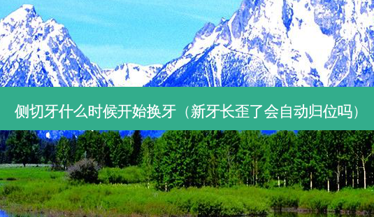 侧切牙什么时候开始换牙(新牙长歪了会自动归位吗)-第1张图片-南山整形网 侧切牙什么时候开始换牙(新牙长歪了会自动归位吗)-第1张图片-南山整形网