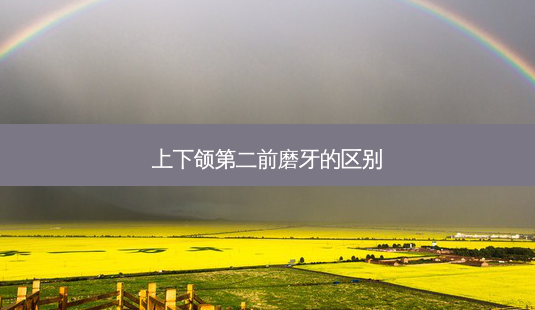 上下颌第二前磨牙的区别-第1张图片-南山整形网 上下颌第二前磨牙的区别-第1张图片-南山整形网