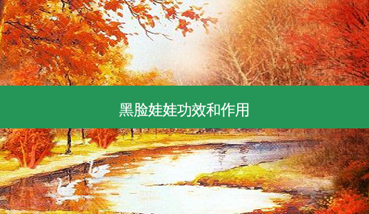 黑脸娃娃功效和作用-第1张图片-南山整形网 黑脸娃娃功效和作用-第1张图片-南山整形网