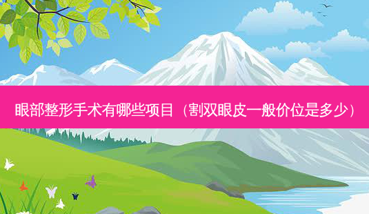 眼部整形手术有哪些项目(割双眼皮一般价位是多少)-第1张图片-南山整形网 眼部整形手术有哪些项目(割双眼皮一般价位是多少)-第1张图片-南山整形网