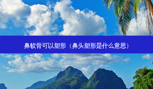 鼻软骨可以塑形(鼻头塑形是什么意思)-第1张图片-南山整形网 鼻软骨可以塑形(鼻头塑形是什么意思)-第1张图片-南山整形网