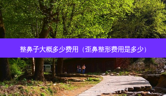 整鼻子大概多少费用(歪鼻整形费用是多少)-第1张图片-南山整形网 整鼻子大概多少费用(歪鼻整形费用是多少)-第1张图片-南山整形网