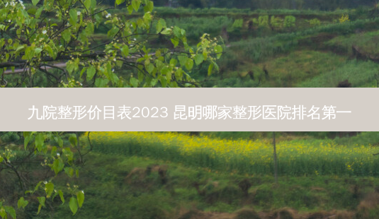 九院整形价目表2023 昆明哪家整形医院 *** -第1张图片-南山整形网 九院整形价目表2023 昆明哪家整形医院 *** -第1张图片-南山整形网